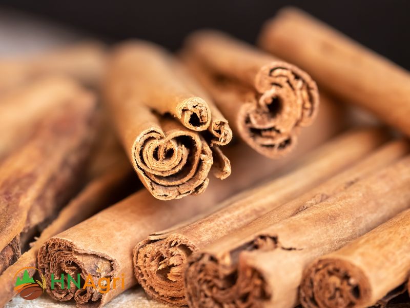 sri-lanka-cinnamon-exquisite-spice-wholesale-buyers-1
