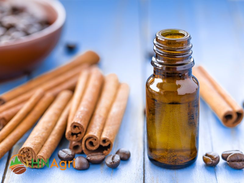 unlock-cinnamon-essential-oil-benefits-uses-today-3
