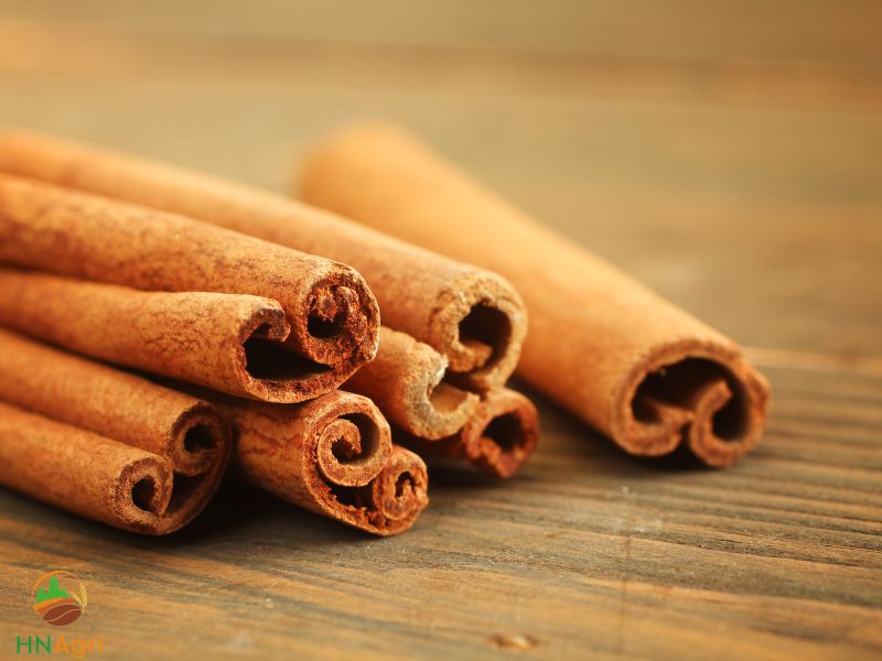 cinnamon-in-bulk-your-wholesale-spice-solution-2