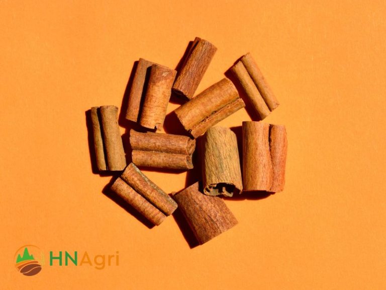 Cinnamon Sticks In Bulk Exploring The Potential And Versatility