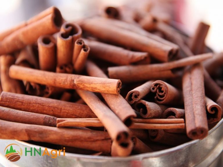 Hanoi Cinnamon Brand Brings The Best Wholesale Cinnamon Option